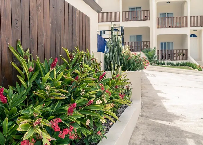 Hospitality Expert Cb1 Pool Beach Chef