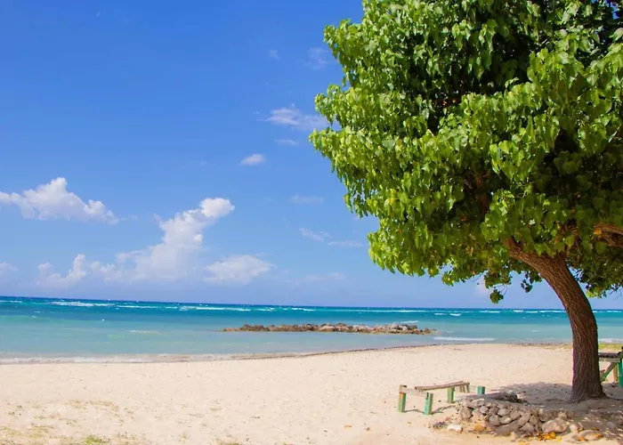 Beach Dreams At Seacastles