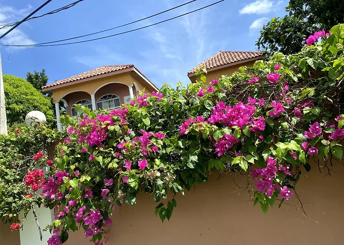 Yanceylargo-6Br Two-Story Estate With Mountain Views