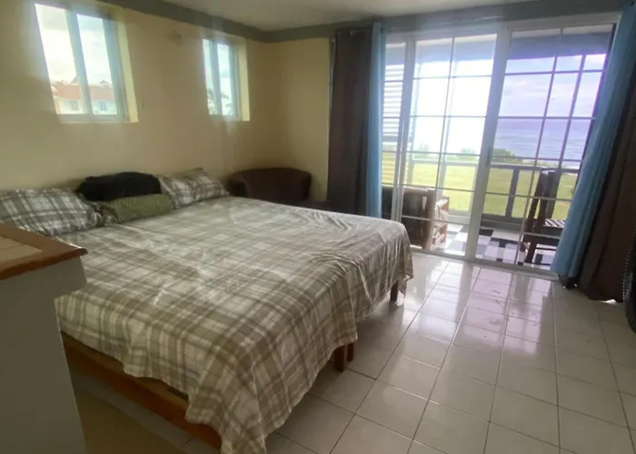 Oceanview Studio Apt W Pool Bar & Beach Access