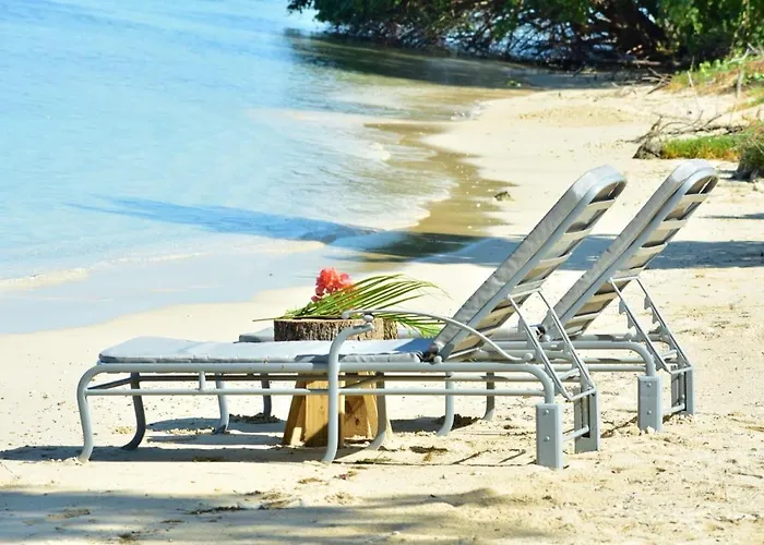 Ivys Cove On The Beach